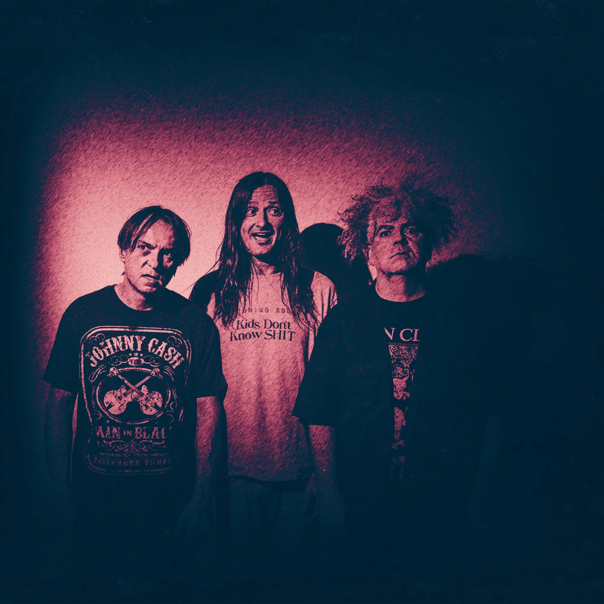 Picture of Melvins
